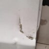 TESLA MODEL 3 Right Rear Door 1081458-S0-G Tür Hinten Rechts DEFEKT! - Image 5