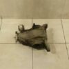 MERCEDES C Class W205 Diff A2053506900 Differential Hinten Ratio 2.64 Manual