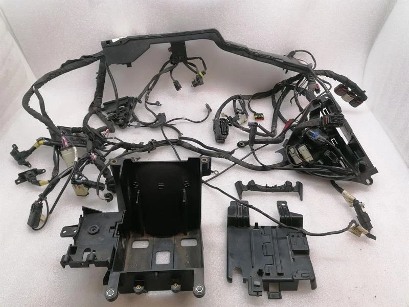 HARLEY-DAVIDSON ROAD GLIDE FLTRXS W/ABS Main Wiring Loom 69200623 69200174