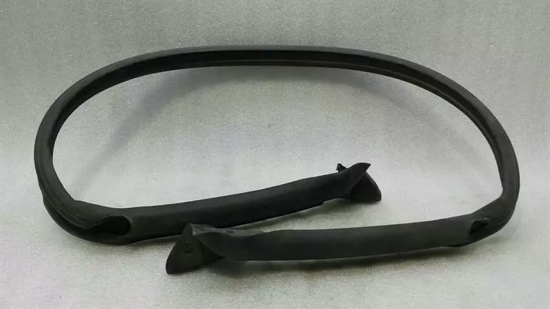 CHEVROLET CORVETTE C6 Weatherstrip seal 10317063 Dichtungen Vorne
