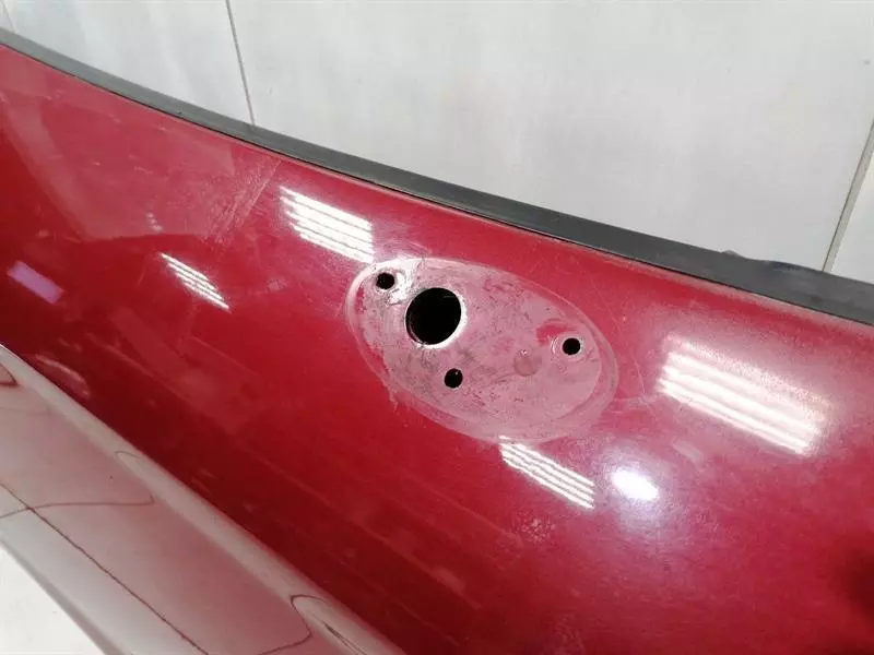 CHEVROLET CORVETTE C6 Right Front Door 22737431 Tür Vorne Rechts - Image 4