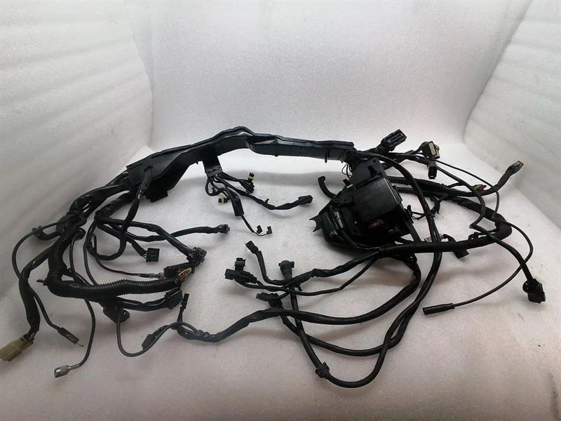 HARLEY-DAVIDSON STREET GLIDE Engine Wiring Loom 69200304 Motorkabelbaum