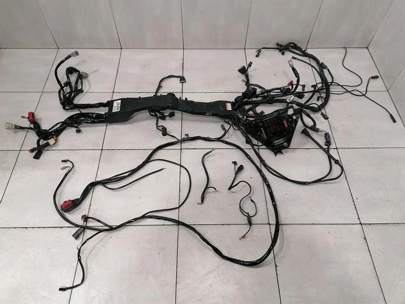 HARLEY-DAVIDSON Engine Wiring Loom 70973-09 Motorkabelbaum DAMAGED