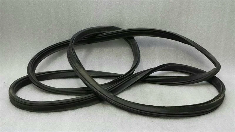 CHEVROLET CORVETTE C6 Lift Gate Seal 20869139 Heckklappe Dichtungen