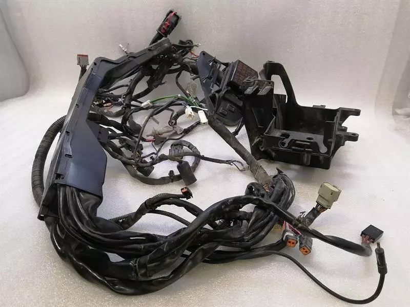 HARLEY-DAVIDSON STREET GLIDE FLHX Main Wiring Loom 69200300 Kabelbaum