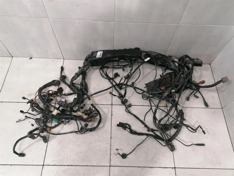 HARLEY-DAVIDSON Ultra Classic Electra Glide Main Wiring Loom 71000-09 Kabelbaum
