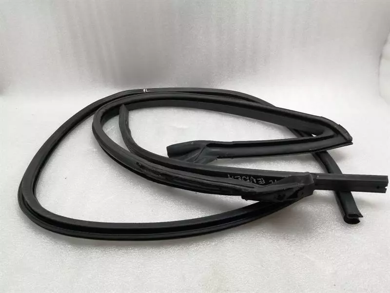 FORD MUSTANG MK5 S550 SHELBY GT350  Door Seal FR3Z-6320530-A Türdichtungen RIGHT