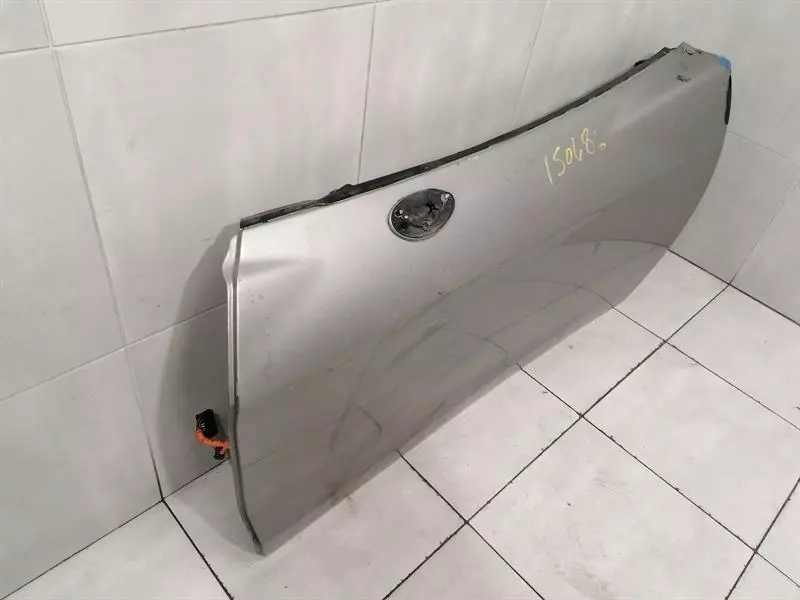 CHEVROLET CORVETTE C6 Left Front Door 22737430 Tür Vorne Links - Image 3