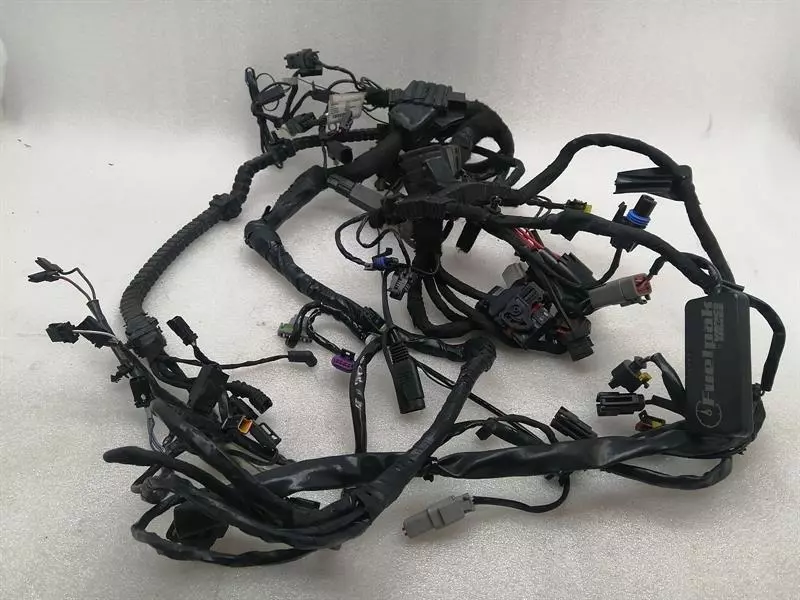 HARLEY-DAVIDSON FXDLS Dyna Low Rider Main Wiring Loom 69201569A Kabelbaum