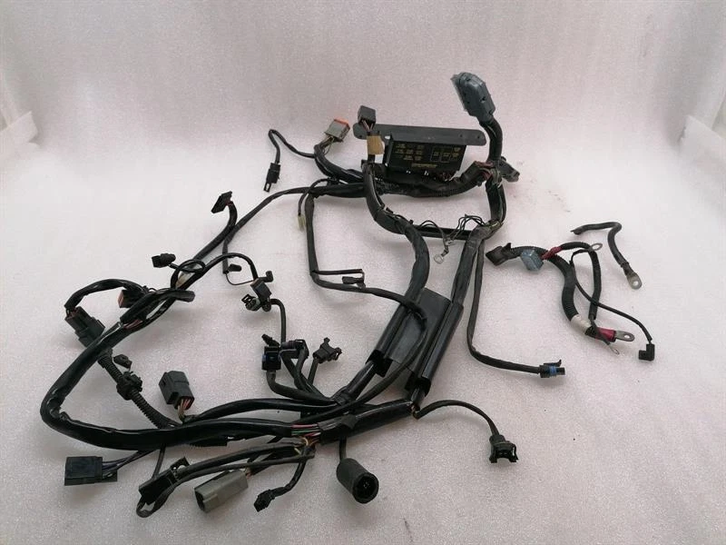 HARLEY-DAVIDSON FXSTDI DEUCE Engine Wiring Loom 70431-01 Motorkabelbaum