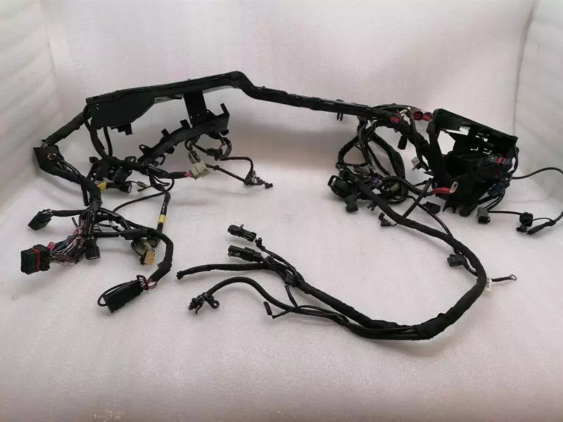 HARLEY-DAVIDSON STREET GLIDE FLHX M8 LOW Main Wiring Loom 69201988 Kabelbaum
