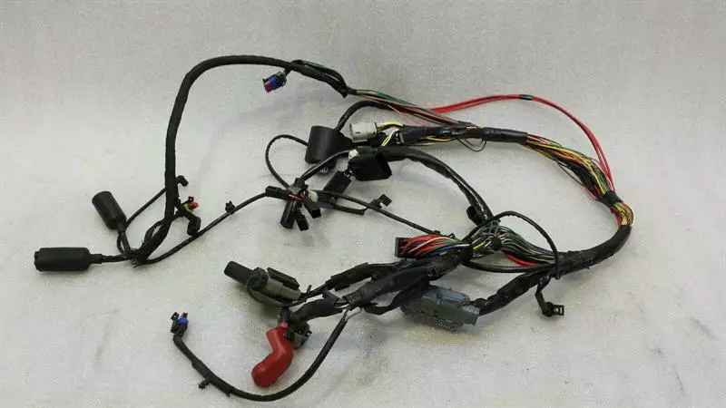 HARLEY-DAVIDSON FORTY-EIGHT XL1200X Engine Wiring Loom 69200317 Motorkabelbaum