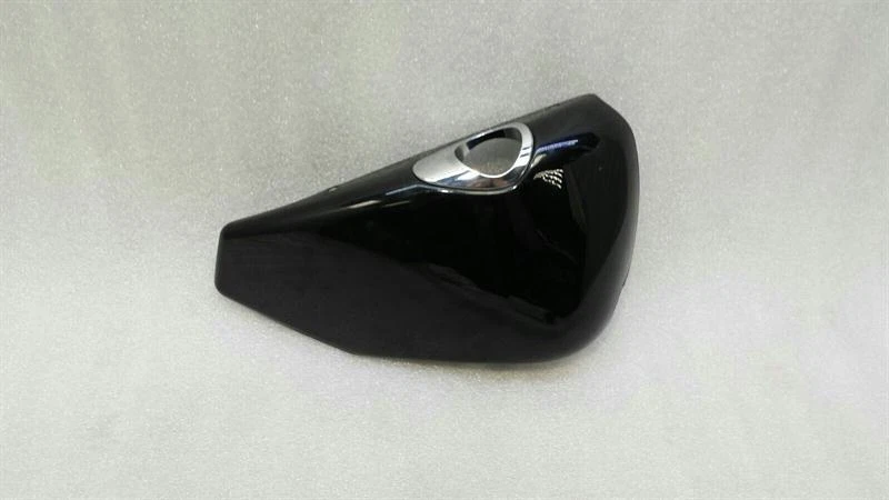 HARLEY-DAVIDSON XL1200X 48 Right Side Cover 66269-08CHJ Abdeckung Rechts