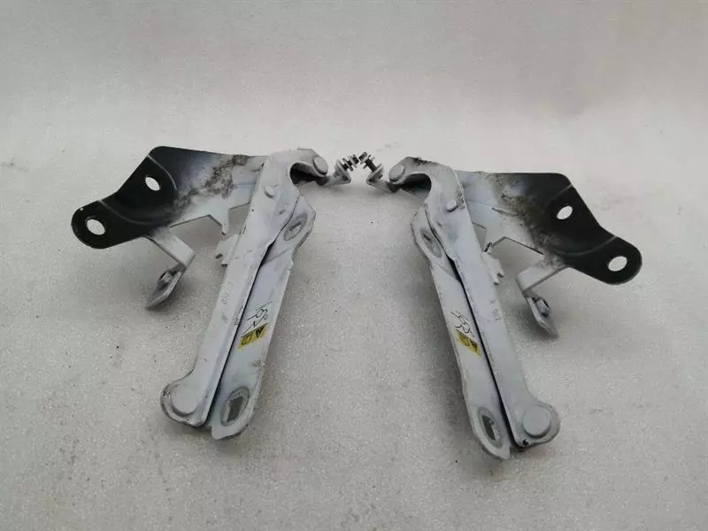 FORD MUSTANG MK6 S550 Boot hinge Set GR3B-16800-AC Heckklappe Scharnier Satz