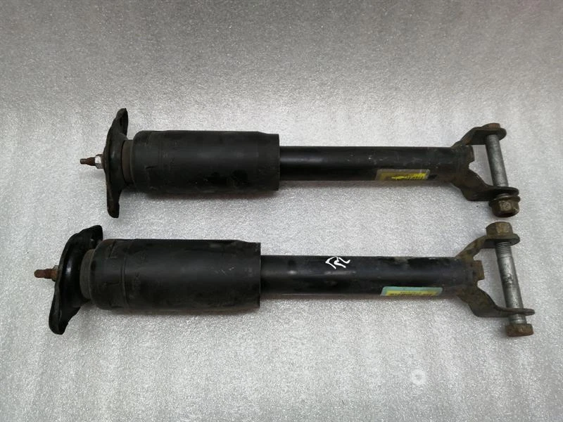 CHEVROLET CORVETTE C6 Shock Absorber Rear 10302877 Stossdämpfer Hinten