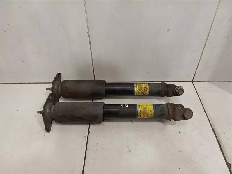 CHEVROLET CORVETTE C6 Shock Absorber Rear SET 10302879 Stossdämpfer Hinten SATZ