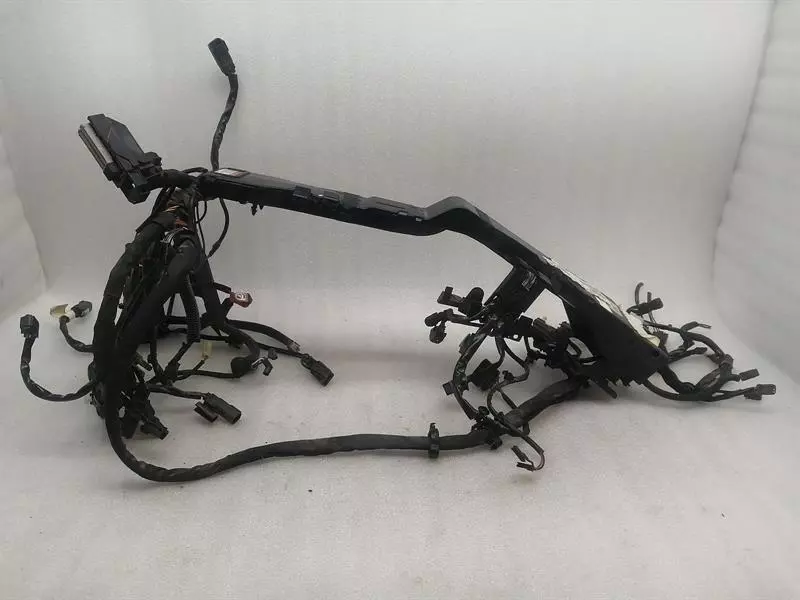 2021 HARLEY-DAVIDSON ROAD KING FLHRXS Main Wiring Loom 69202225 Kabelbaum M8