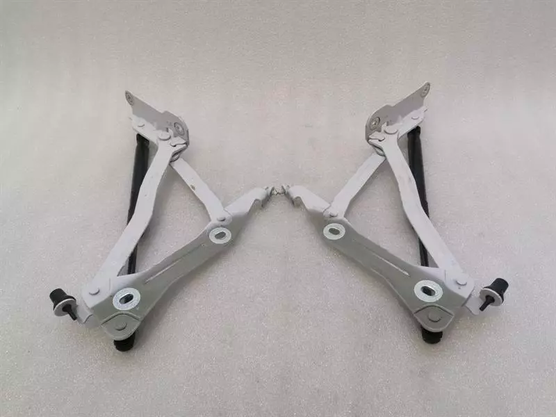 FORD MUSTANG MK6 S550 Bonnet Hinge Set FR3B-6342701-AD Haubenscharnier Satz