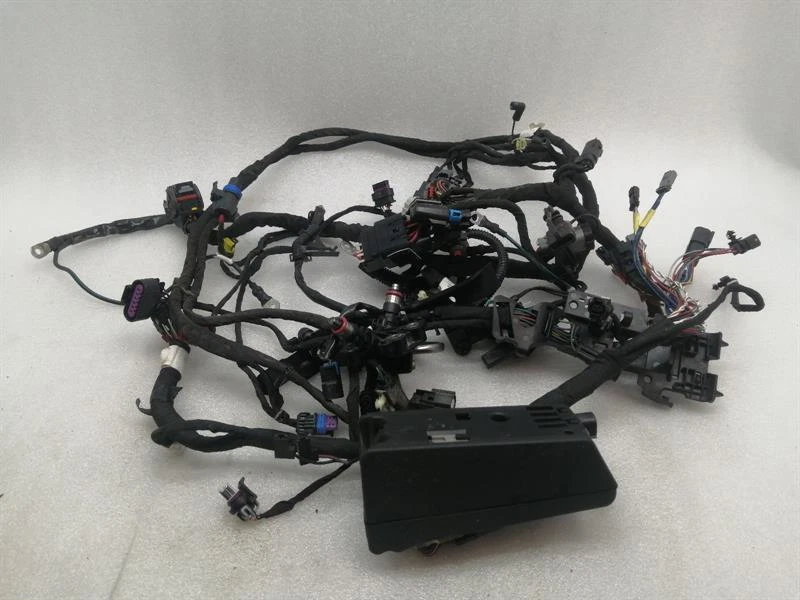 HARLEY-DAVIDSON FXBB STREET BOB SOFTAIL Main Wiring Loom 69201493 Kabelbaum