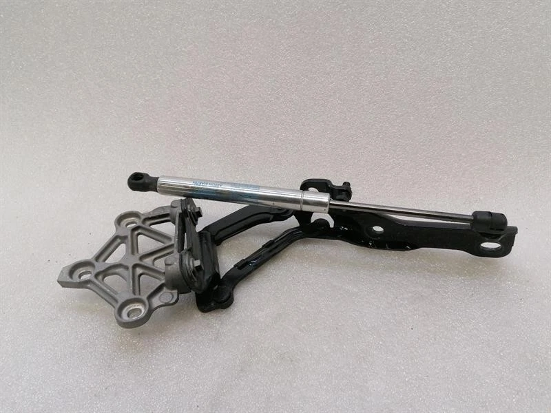 ASTON MARTIN RAPIDE AMR Bonnet Hinge set DG43-16801-AA Haubenscharnier satz - Image 4