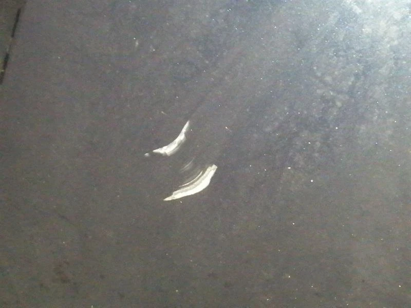 PORSCHE MACAN 95B Bonnet 95B823031 Motorhaube - Image 6