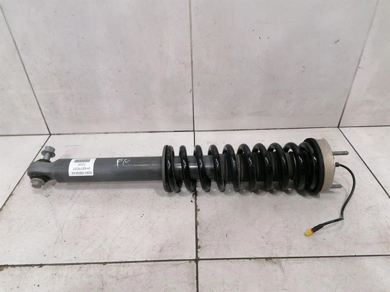 ASTON MARTIN RAPIDE AMR Shock Absorber Front KD43-18B036-AA Stossdämpfer Vorne - Image 2