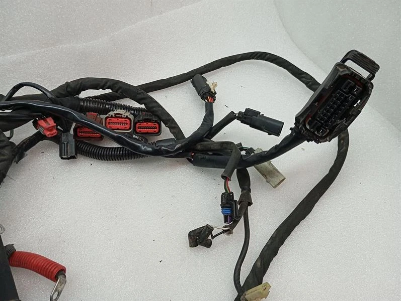 HARLEY-DAVIDSON ROAD KING FLHRSE4 Engine Wiring Loom 69200446 Motorkabelbaum - Image 6