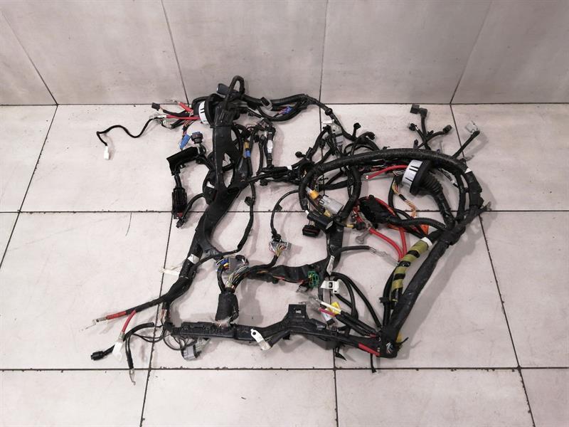 TESLA MODEL 3 RWD Front Body wiring 1567964-08-B Kabelbaum Vorne