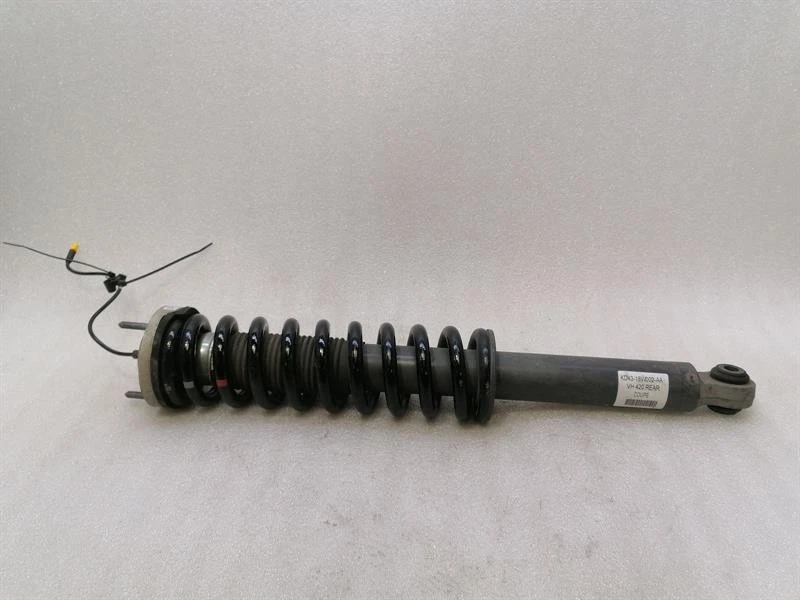 ASTON MARTIN RAPIDE AMR Shock Absorber Rear KD43-18W002-AA Stossdämpfer Hinten - Image 2
