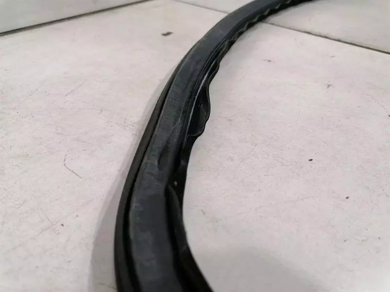 ASTON MARTIN RAPIDE S  Door Seal ED43-F20708-CB Türdichtungen FL LOWER - Image 5