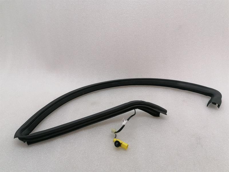 ASTON MARTIN RAPIDE S  Door Seal AD43-F20709-B Türdichtungen LH