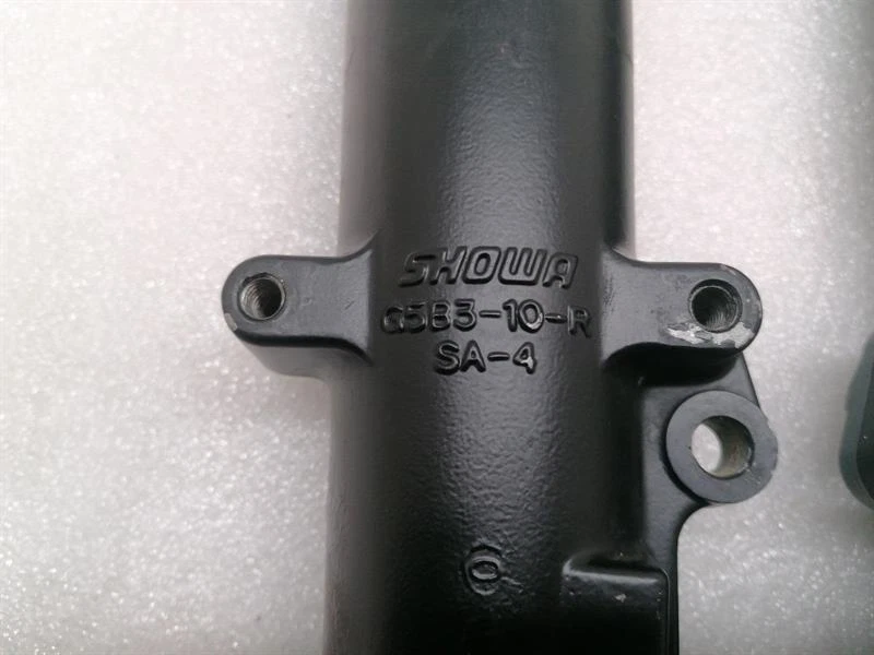 HARLEY-DAVIDSON STREET GLIDE FLHX  Front fork 46495-09 Federgabel - Image 4