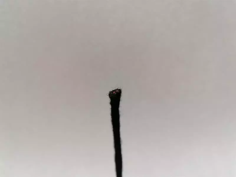 PORSCHE TAYCAN 9J Navigation Monitor 9J1919599Q Sat Nav Display Bildshirm RHD - Image 4