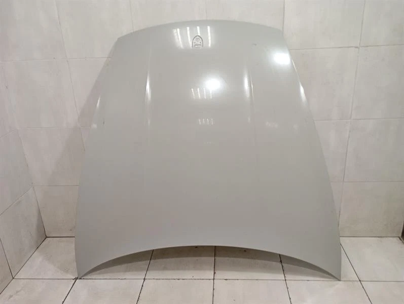 PORSCHE TAYCAN 9J Bonnet 9J1823031AYGRV Motorhaube