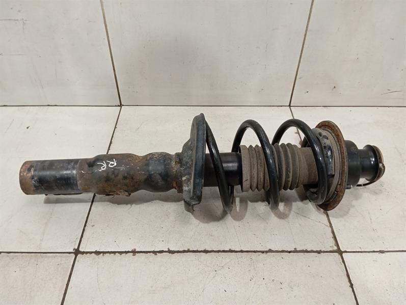 PORSCHE BOXSTER 987 Shock Absorber Rear 99733305320 Stossdämpfer Hinten PASM