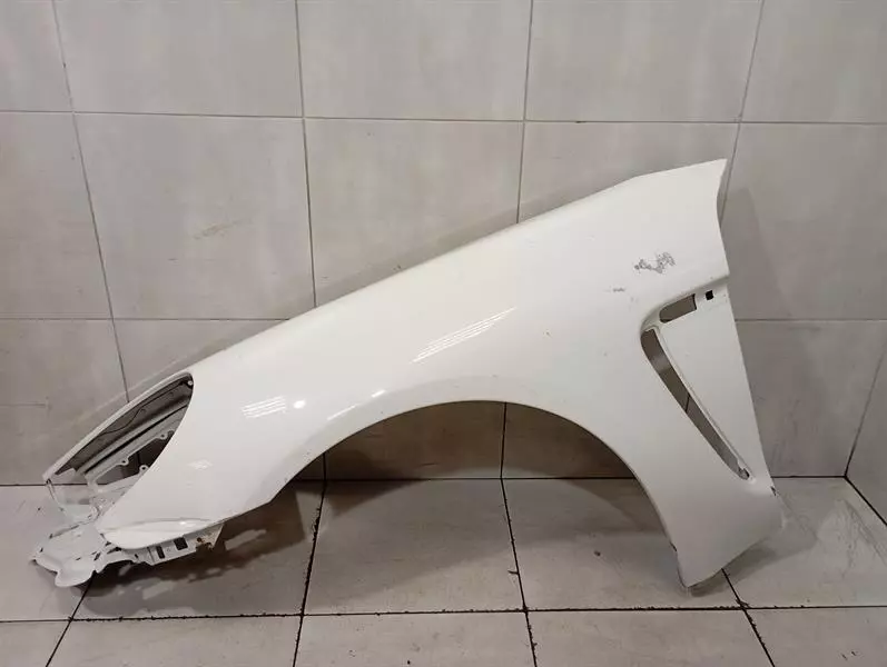 PORSCHE Panamera 970 Left Wing 97050303104 Kotflügel vorne links