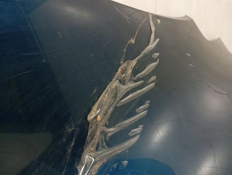 McLaren 570GT Left Rear Quarter Panel Wing 570 Kotflügel HINTEN links DEFECT - Image 6