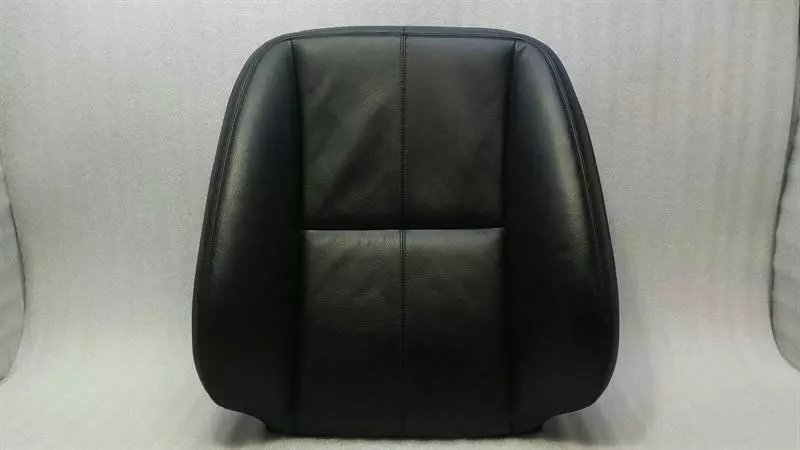 MERCEDES S-class W221 Backrest Front Left A2219103347 Sitz heizung Links