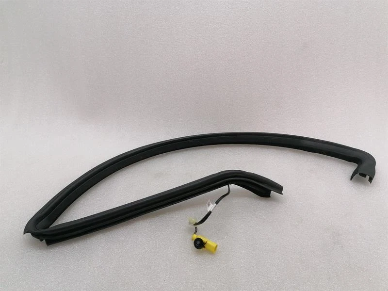 ASTON MARTIN RAPIDE S  Door Seal AD43-F20709-B Türdichtungen LH - Image 2