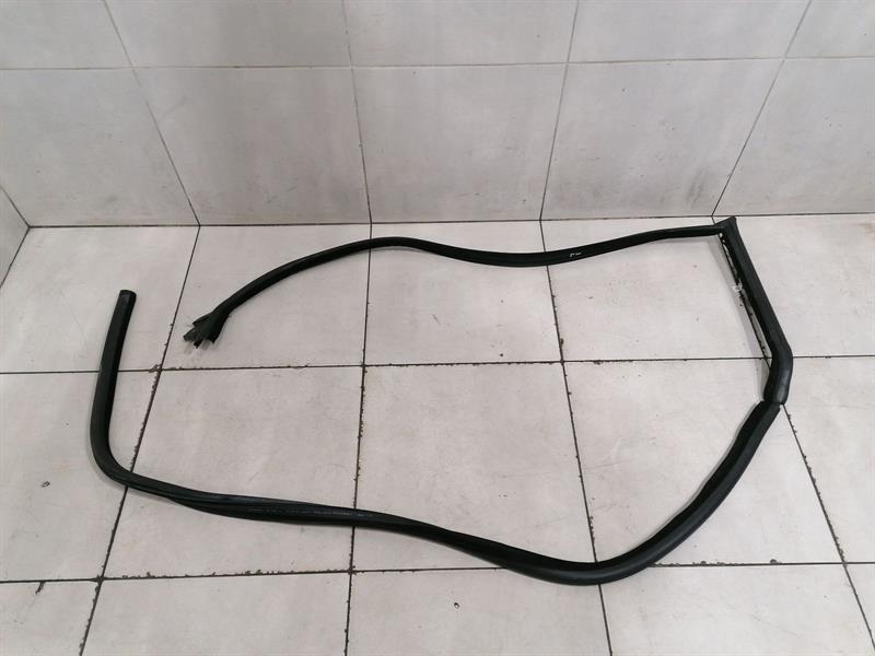 ASTON MARTIN RAPIDE 10-14  Door Seal AD43-F20709-EB FRONT HEATED Türdichtungen