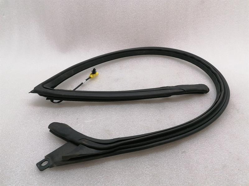 ASTON MARTIN RAPIDE S  Door Seal ED43-F20708-EA Türdichtungen FR HEATED UPPER