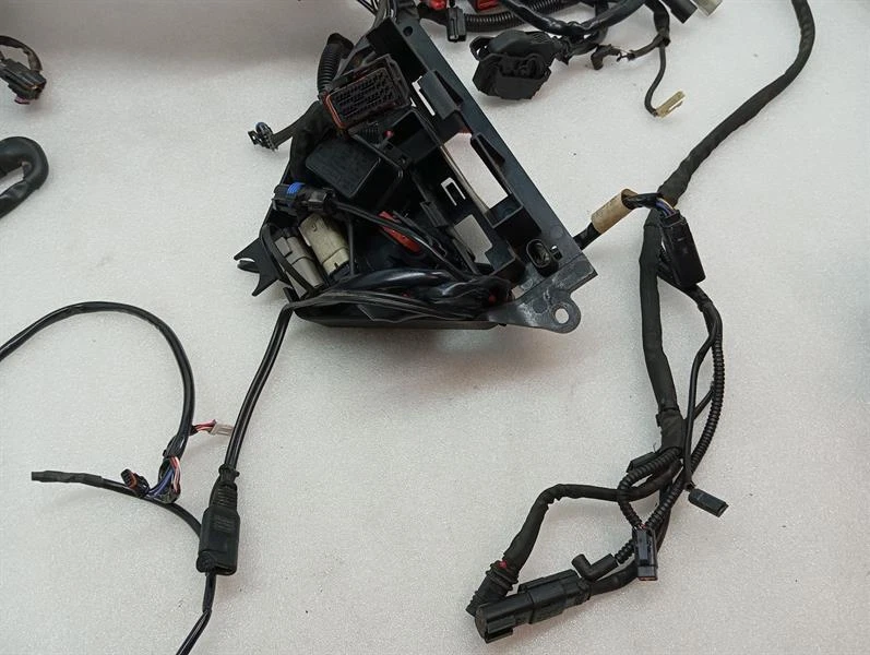 HARLEY-DAVIDSON ROAD KING FLHRSE4 Engine Wiring Loom 69200446 Motorkabelbaum - Image 5