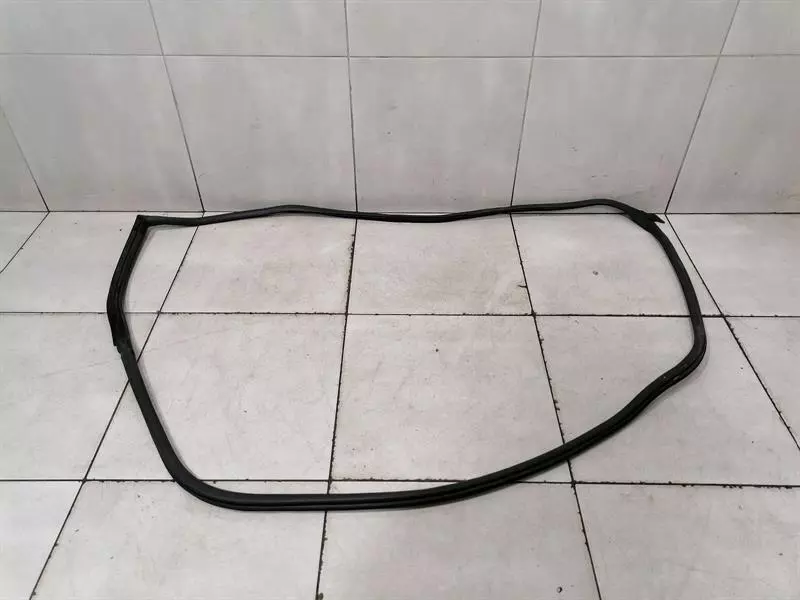 ASTON MARTIN VANTAGE V8 Right Door Seal 6G33-C20708-AH Türdichtungen Rechts - Image 2