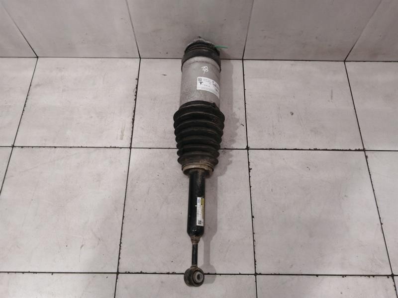 TESLA MODEL X 75D Shock Absorber Rear Right 1027461-00-G Stossdämpfer Hinten Re