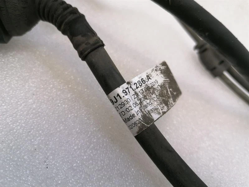 PORSCHE TAYCAN 9J REAR LEFT Wiring Loom 9J1971286A Kabelbaum Hinten links - Image 3