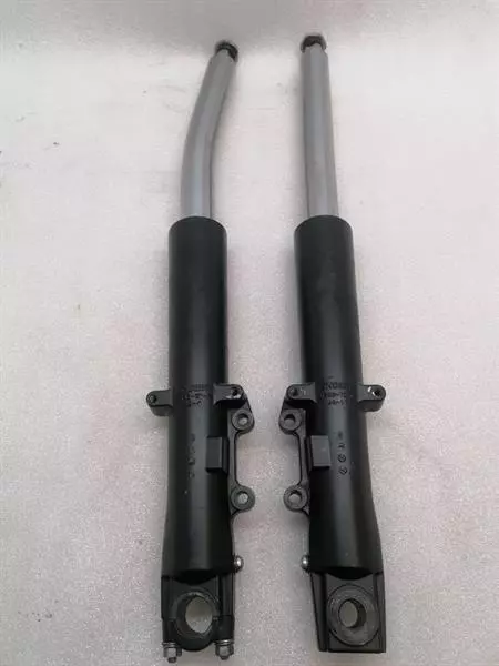 HARLEY-DAVIDSON STREET GLIDE FLHX  Front fork 46495-09 Federgabel - Image 3