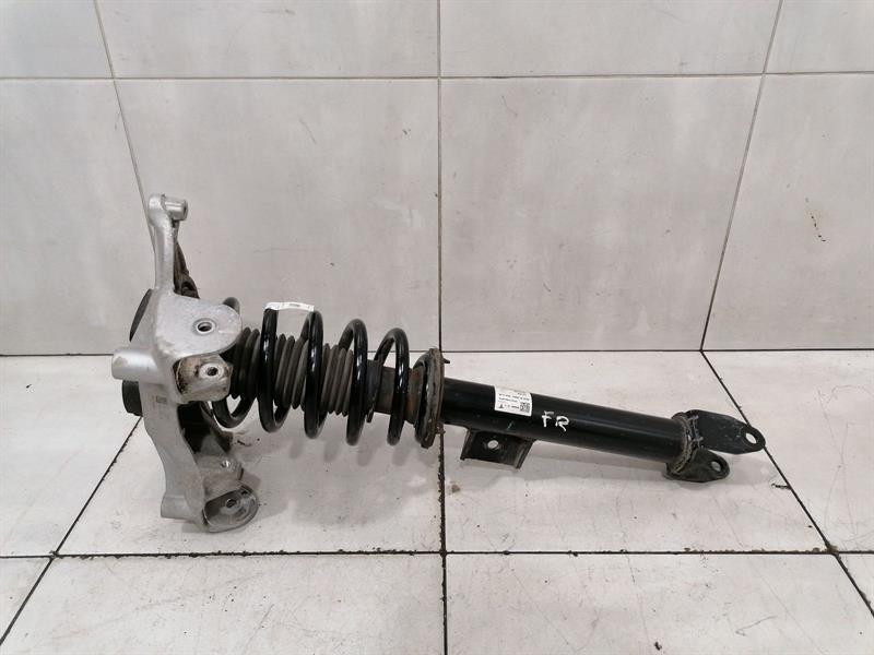 TESLA MODEL 3 STANDARD RANGE Shock Absorber Front 1044369-01-F Stossdämpfer Vorn